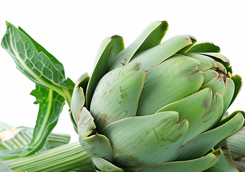 Artichoke